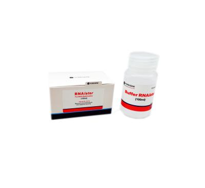 China 50ml 100ml 100ml×4 RNA Isolation Kits RNAlater PCR Mix for sale