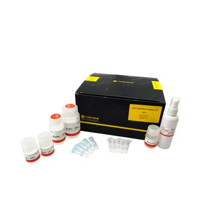 Chine Isolement total Kit For Cultured Cells d'ARN de cellules du tampon CRL1 de FOREGENE à vendre