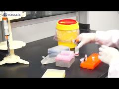 Cell Direct RT qPCR kit   Operation video