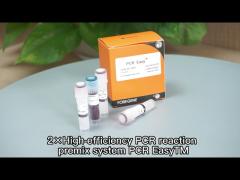 2× PCR Mix