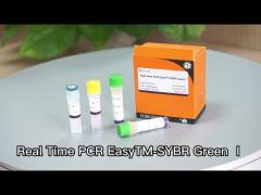 Real Time PCR EasyTM-SYBR Green Ⅰ