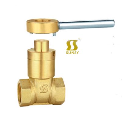 China Price pn40 gate valve general bellows seal brass magnetic lock dn20 6 inch for sale