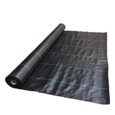 China Black Woven Food Grade PP Polypropylene Grass Control Fabric / Agriculture Ground Cover for sale