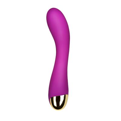 China 10 Frequency Vibration Magic Wand Massager Wireless Handheld Female Vibrator Electric Massager for sale