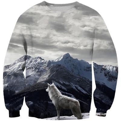 China Anti-wrinkle ChenShang custom high quality men's round neck pullover sweater men's fashion sweaters for sale