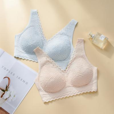 China Casual factory high quality cotton bra for women top selling bra training bras for young girls for sale