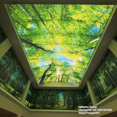 China Artistic Ceilings Suspended Ceiling Panels PVC Living Room Ceiling Design for sale