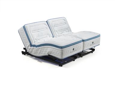 China LED Adjustable Light Electric Bed (Other) Sets Hotel Used Electric Bed Frame Metal Adjustable Bed With Mattress for sale