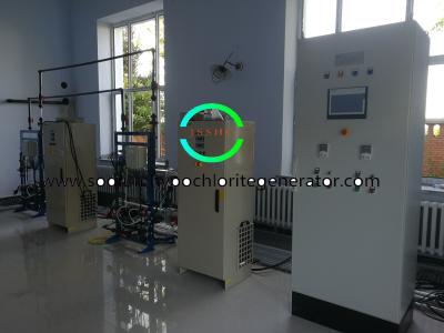 Chine machine de générateur d'hypochlorite de sodium 1kg pour la désinfection de plante aquatique à vendre