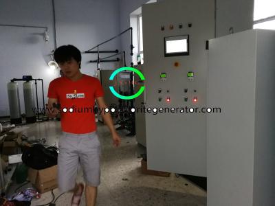 China Generación inteligente del agua de mar, electrólisis multi del hipoclorito del agua de mar de la función en venta