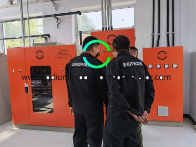 China Fabricante de generación automática del hipoclorito de sodio en venta