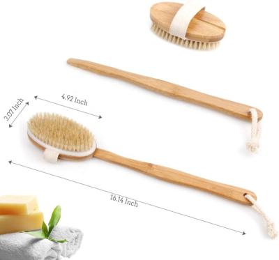 China Long Handle Bathroom Shower Body Scrub Brushes Skin Care Tool Hand Grip Wooden Bathing Bristle Brush for sale