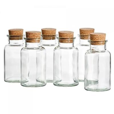 China Medicine wholesale Free sample 150ml medicine bottle mini clear glass spice jar set with cork for sale