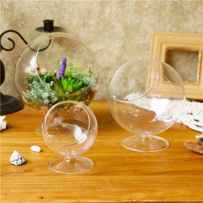 China Small office modern creative fresh living room room decoration plant container vaseLiving transparent vase for sale