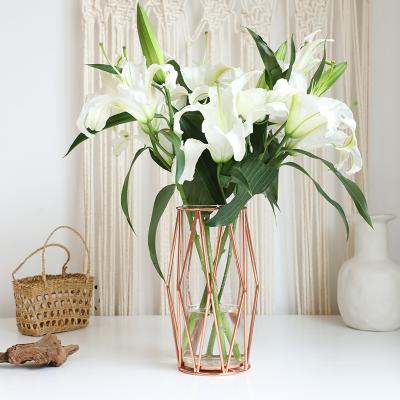 China New Simple Home Glass Vase Iron Mesh Vase Art Modern Flower Arrangement Decoration for sale