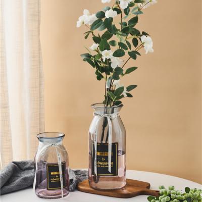 China Modern Fashion Round Bottle Color Glass Labeling Vase Hydroponic Glass Vase Desktop Clear Glass Flower Vase for sale