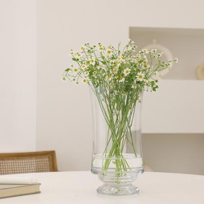 China Clear Glass Vase Style Small Plant Vases Hydroponic Fresh Glass Decorative Modern Vase Bonsai Plants for sale