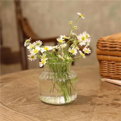 China Modern Simple Creative Vase Living Room Decoration Plants Flowers Transparent Glass Vase for sale