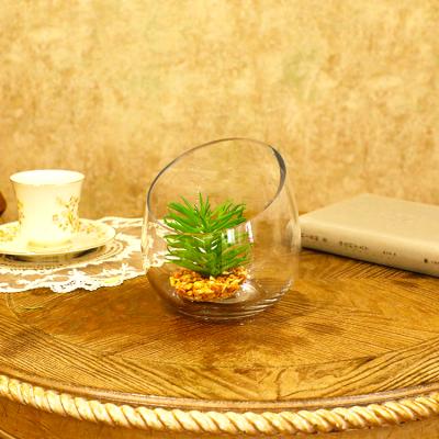 China Modern round oblique micro transparent landscape mouth succulent glass vase for sale