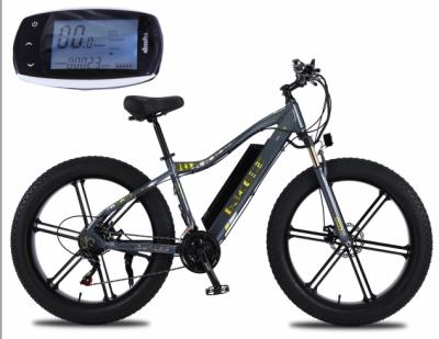 China Long Range Electric Adult Best Quality Folding Electric Bike MTB Bike Electric Bicycle MTB for sale