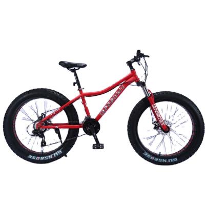 China 2021 Resistance Glue Tire High Quality New 24/26 Inch Fat Snow Bike for sale