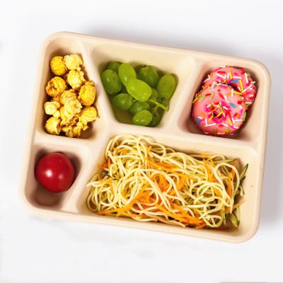 China 700-1100ml Traditional Bamboo Fiber Compartment Biodegradable Disposable Food Tray for sale