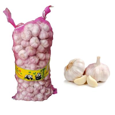 China 20kg mesh bag Chinese normal white garlic price in Pakistan for sale