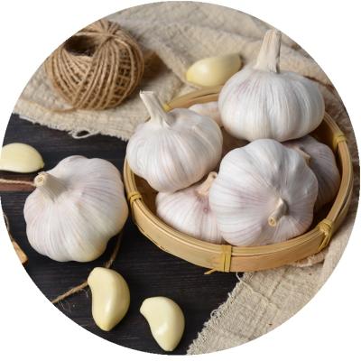 China China/Chinese New Fresh White Garlic of 10kg Mesh Bag Preserving Fresh Garlic for sale