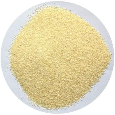 China Garlic granules 8-16 mesh ad garlic price Dried Dehydrated Garlic Granules for sale