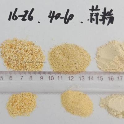 China Dehydrated garlic china granulated granules supplier for sale