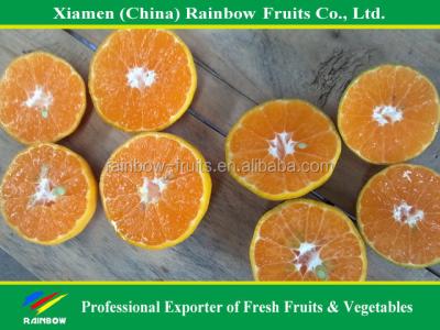 China Fresh name of imported fruits for sale