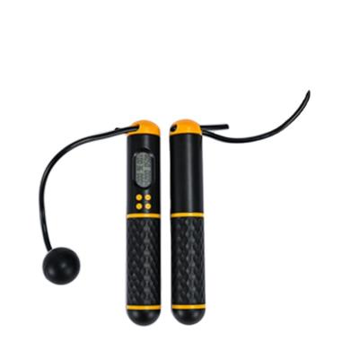 China Other Manufacturer Jump Rope Digital Exercise Fitness Jump Rope With Sound Reminder for sale