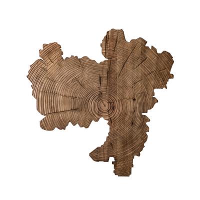 China Eco-Friendly Modern Creative Abstract Large Art Decoration 3d Map Large Wood Carving Wall Decor Large Wood Wall Art for sale