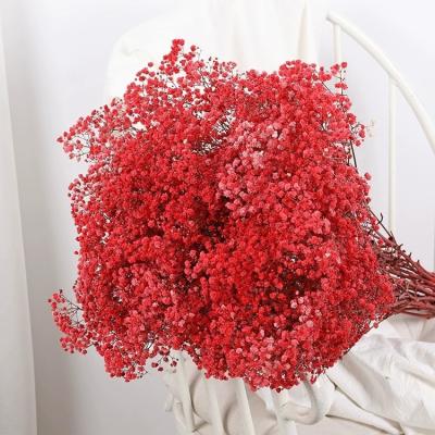 China Wholesale Natural Plant Plant Premium Grade Dried Babies Breath Flower Preserved Gypsophila for sale