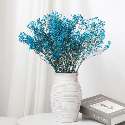 China Fashion / Hot Sale 2022 New Product Dried Flowers Preserved Babysbreath For Home Decoration for sale