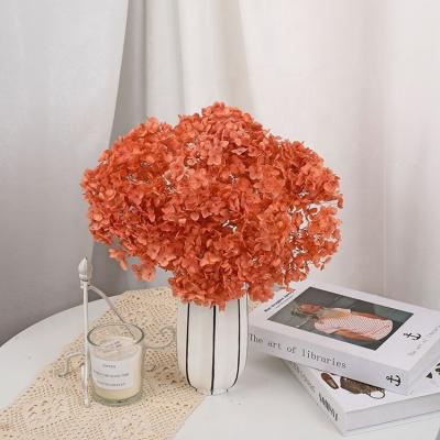 China Real Diy Fresh Anna Hydrangea Flower The Colorful Fresh Preserved Immortal Material Lasting Forever The Hydrangea With Branches for sale