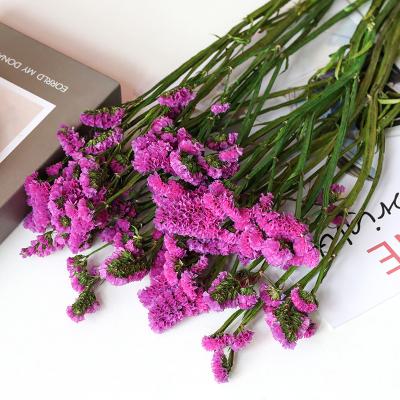 China Fashion/hot selling Flores preserved flower, lilac forget-me-not, home decoration, real dry bouquet flower arrangement material wholesale for sale