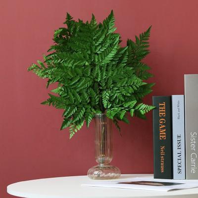 China Fashion / Hot Sale Natural Dry Durable Preserved Green Of Amazon Fern Leaf And White Alpine Fern For Flower Bouquets for sale