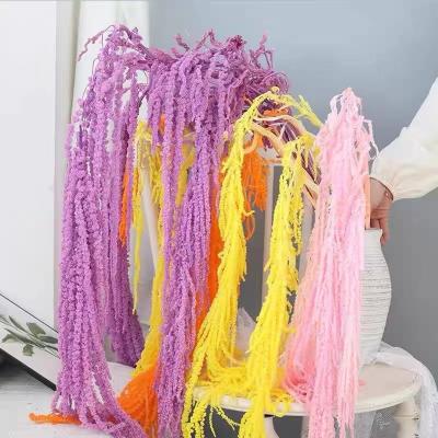 China Real fresh high quality natural dry amaranth preserved hanging amaranth for wedding decoration for sale