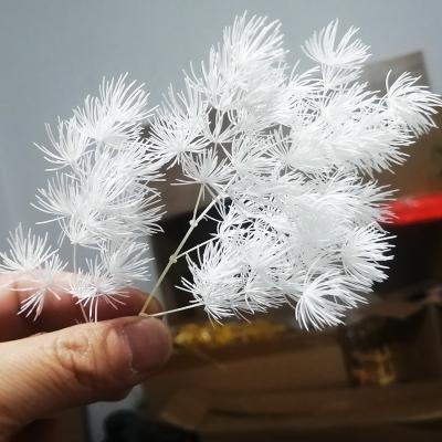 China Natural Preserved Asparagus Myrioeladus Penglai Pine Plant Plants Wholesale Natural White Home Decoration Flowers for sale