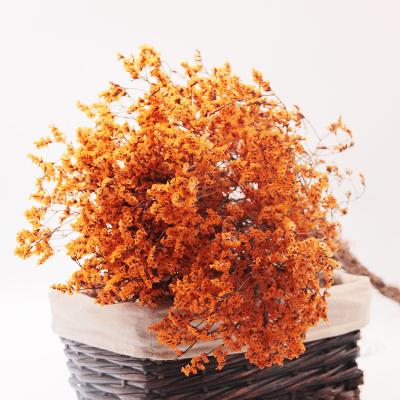 China Real Long Lasting Natural Stem Dried Flower Preserved Bouquet Multicolor Preserved Crystal Grass For Home Wedding Decoration for sale