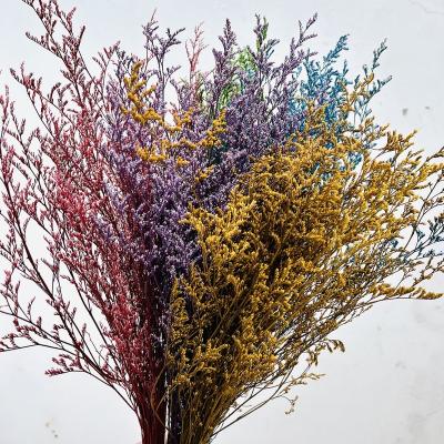 China Colorful Preserved Natural Flower Love Grass Limonium Preserved Flower for Wedding and Home Decoration for sale