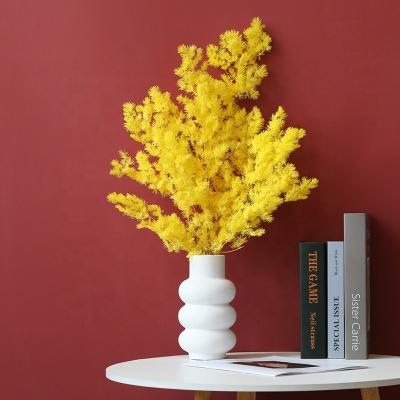 China Fashion/Hot Selling Premium Quality Natural Dried Flowers Asparagus Myrioeladus For Party Decoration for sale