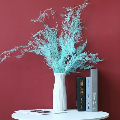 China Fashion Trend/2022 Hot Selling New Dried Plants Flowers Natural Dried Asparagus Fern For Wedding Decoration for sale