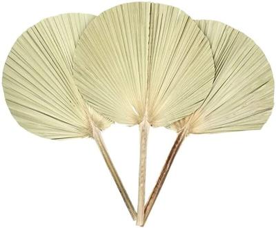 China Wedding Flower Arrangements Hot Wholesale Natural Artificial Treated Dried Palm Leaves Dry Bleached Fan Leaf For Wedding Flower Arranging Decoration for sale