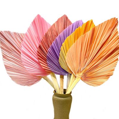 China Wedding Flower Arrangements Dried Big Dried Flowers Dried Different Shape And Size Kinds Of Palm Leaves For Home Decoration And Wedding for sale