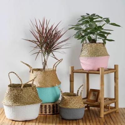 China Amazon Viable Hot Sale Vegetable Plankton Colorful Woven Belly Basket for Storage Plant Pot Basket and Laundry, Picnic and Grocery Basket for sale