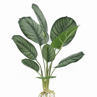 China Factory direct sales 9 lvs 58cm real minimalist touch arrowroot small artificial plant price Bush for sale