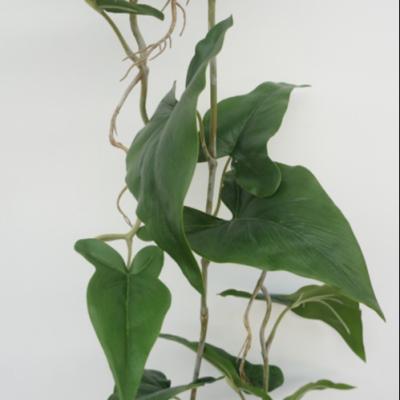 China 120cm Real Touch Typhonium Giganteum Artificial Vine Eco-friendly Minimalist For Home Decor for sale