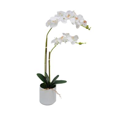 China New white artificial potted orchid flower decoration plastic bonsai flower artificial flower and greenery flower for sale